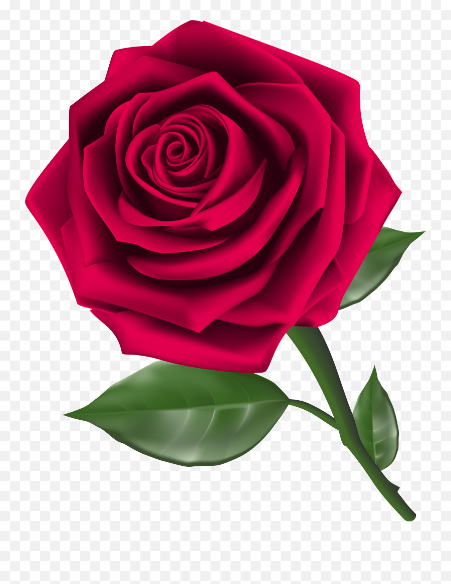 Roses Steam Rose Clipart Image - Rose Clipart Png Transparent Emoji,Roses Clipart