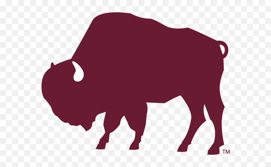 Graphic Standards Wtamu - West Texas Buffalo Emoji,Buffalo Logo