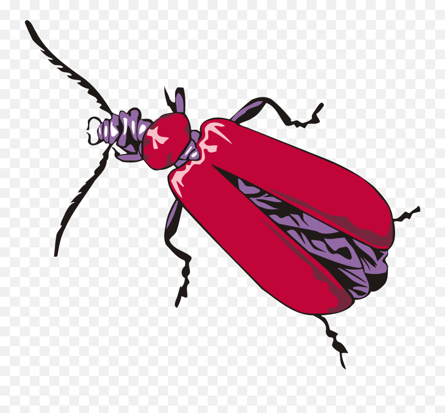 Big Image - Insects Drawing Clipart Full Size Clipart Insects Png Draw Emoji,Insects Clipart