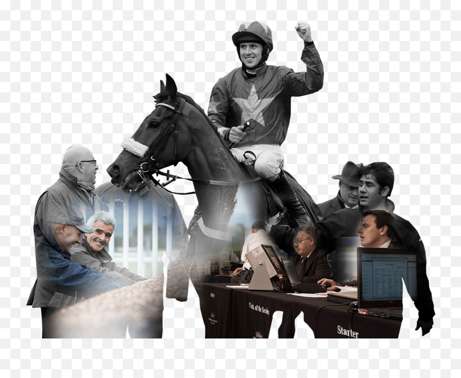 Home - The British Horseracing Authority Emoji,Horse Racing Logo