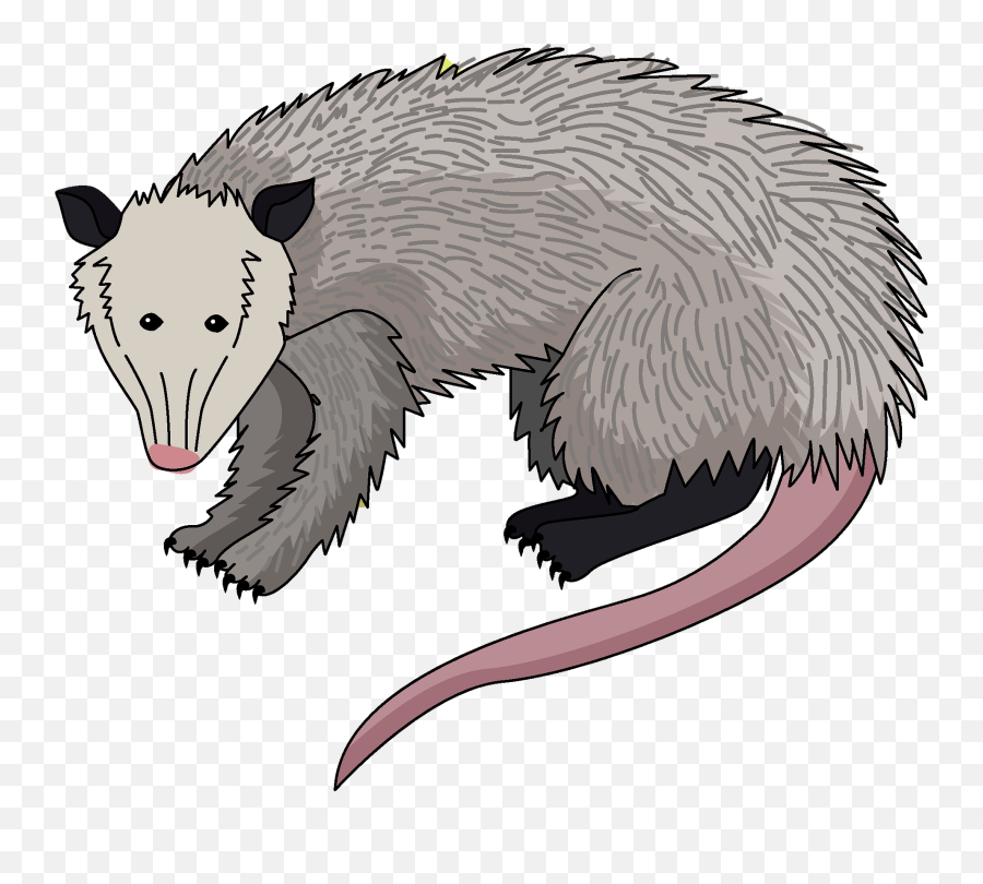 Possum Clipart Emoji,Opossum Clipart