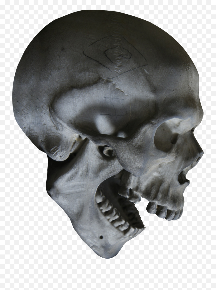Halloween Skull Skeleton Skull Head Emoji,Skeleton Head Png
