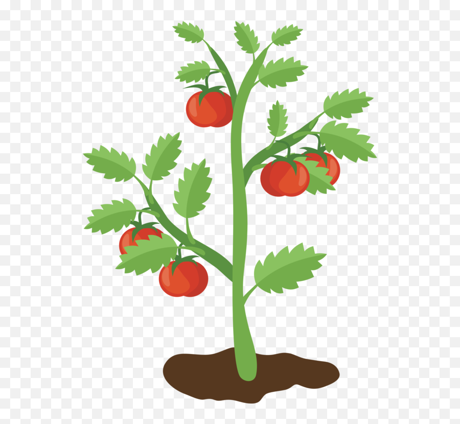 Tomato Alpine Strawberry Plant Png Emoji,Tomatoes Clipart