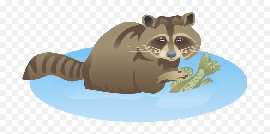 Free Raccoon Clipart - Clipart Of Racoon In Water Emoji,Raccoon Clipart