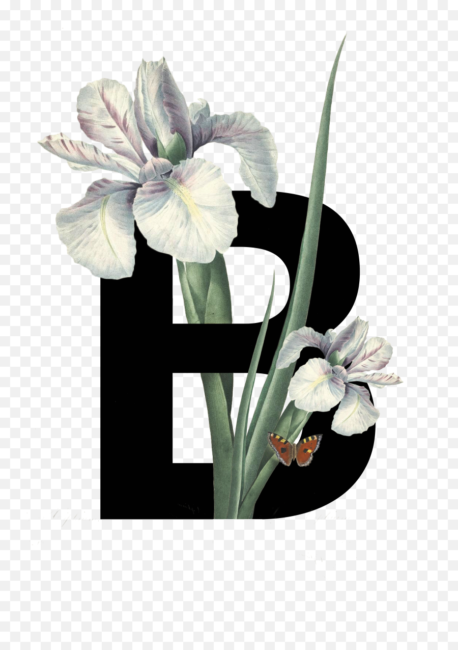 Decorative Type Design - Iris With Butterfly Shower Curtain Emoji,Iris Flower Clipart