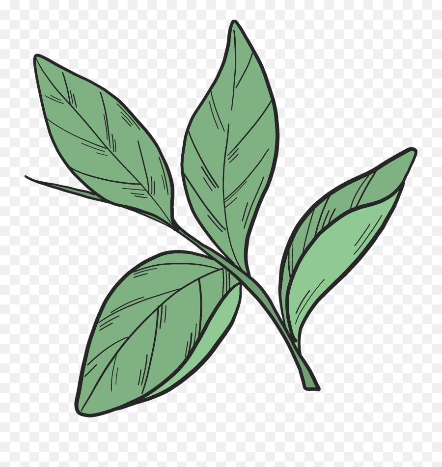 Blueberry Leaves Clipart - Leaves Clipart Emoji,Leaves Clipart