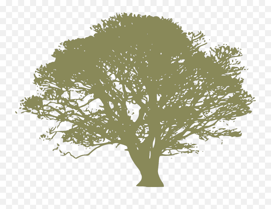 Dark Blue Oak Tree Png Svg Clip Art - Oak Tree Clipart Red Emoji,Oak Tree Png