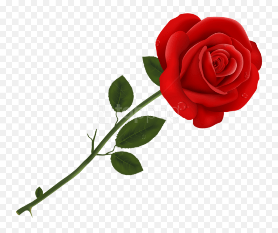 Free Png Download Red Rose Transparent - Rose Clipart Transparent Emoji,Free Rose Clipart