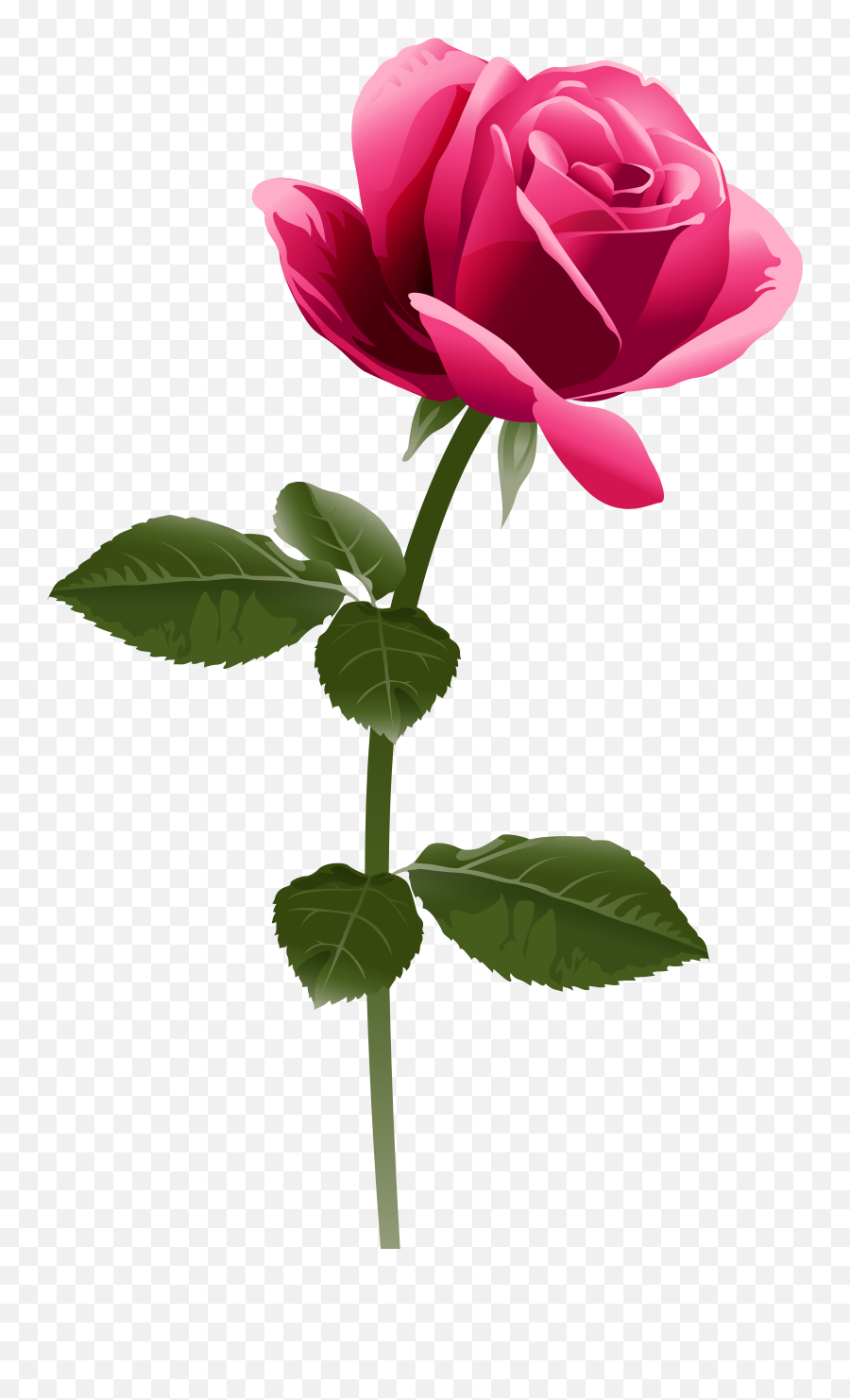 Clipart Bow Dark Pink Flower Clipart Bow Dark Pink Flower - Transparent Rose Flower Png Emoji,Pink Flower Clipart