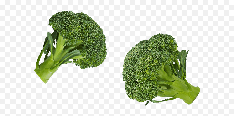 Vegitable - Broccolini Emoji,Broccoli Png