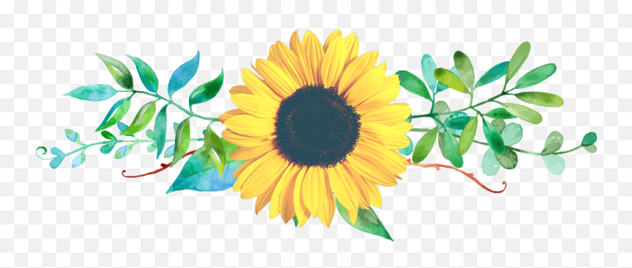 Floral Clipart Sunflower Floral Sunflower Transparent Free - Fresh Emoji,Sunflower Clipart