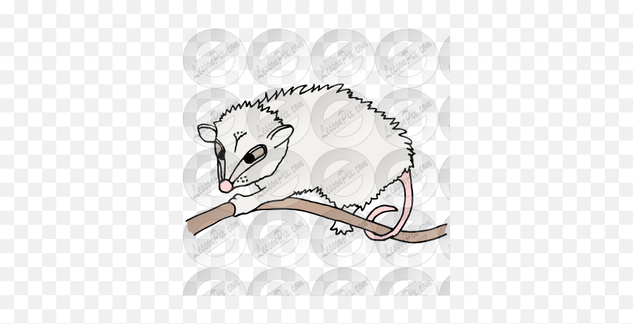 Possum Picture For Classroom Therapy Emoji,Opossum Clipart