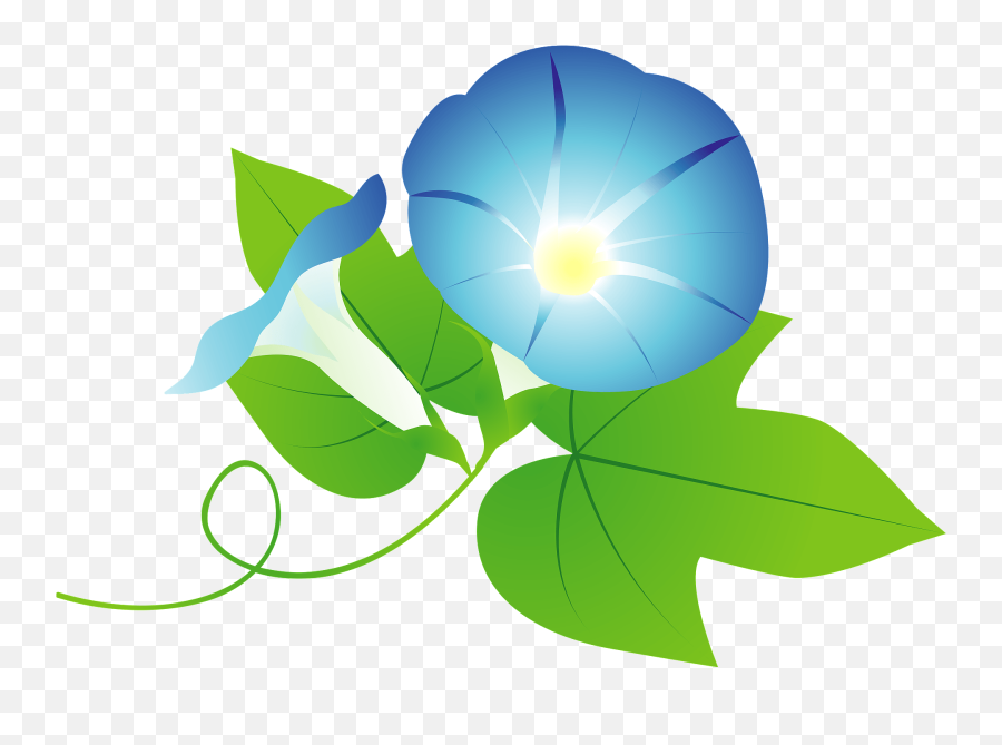 Morning Glory Flower Clipart Free Download Transparent Png - Japanese Morning Glory Emoji,Morning Clipart