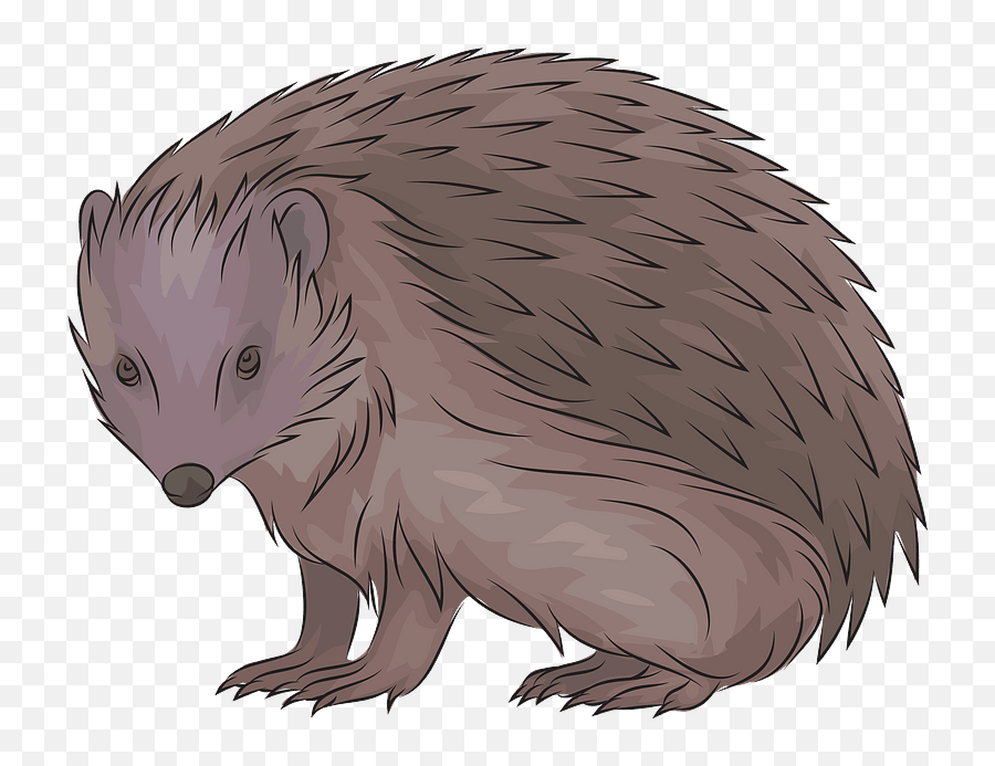 European Hedgehog Clipart - Igel Clipart Emoji,Hedgehog Clipart