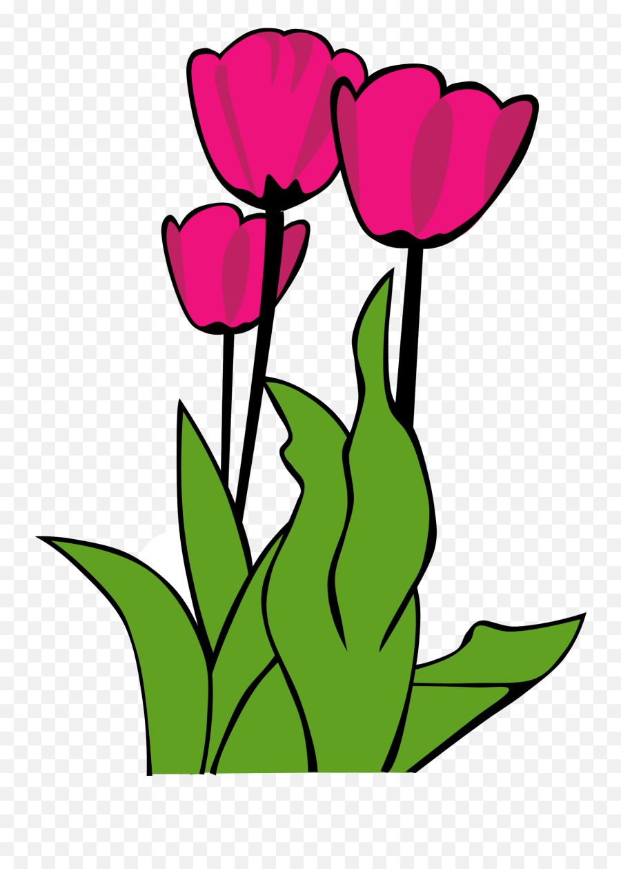 Library Of Flower Image Free Tulip Png Files Clipart - Tulip Clip Art Emoji,Flowers Clipart