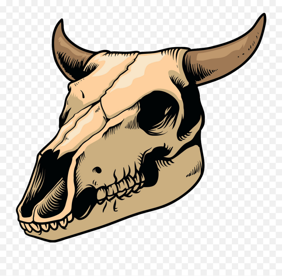 A Cow Skull Clipart Transparent - Cow Skeleton Draw Png Emoji,Skull Clipart