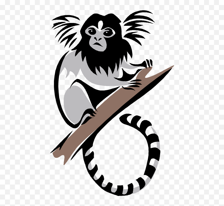 Marmoset Monkey Clip Art Free Image - Marmoset Clipart Emoji,Monkey Clipart Black And White
