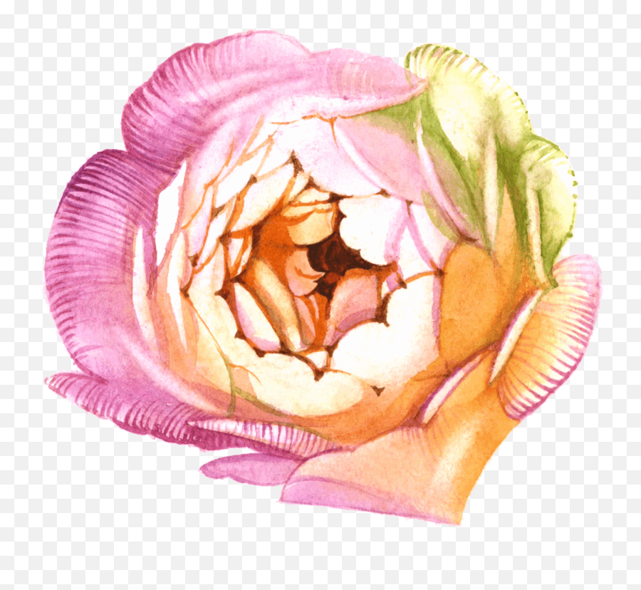 Rose Watercolor Flower Png Images - Hybrid Tea Rose Emoji,Watercolor Flower Png