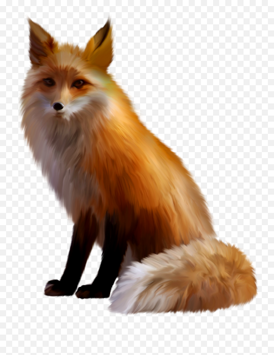 Red Fox Png Photo - Fox Transparent Png Emoji,Fox Png