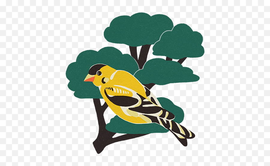 A Short Guide To Birding - Beside Emoji,Bird Feeder Clipart