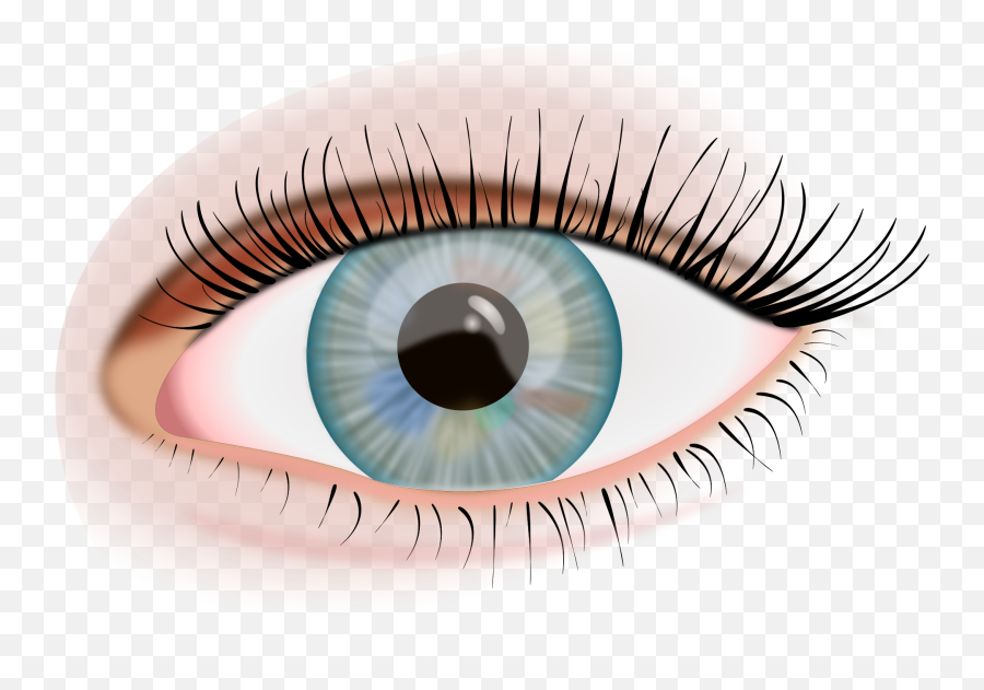 Human Eye - Ojo Png Emoji,Eye Clipart