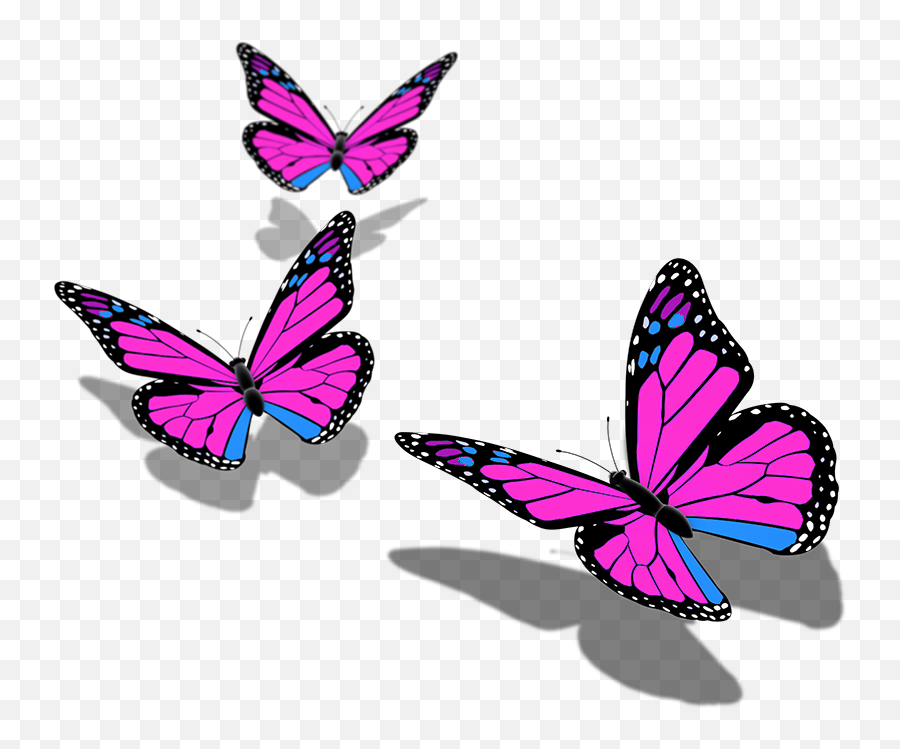 Butterfly Butterflies Mariposa Ftestickers Stickers - Baterflay Image Png Hd Emoji,Butterfly Png