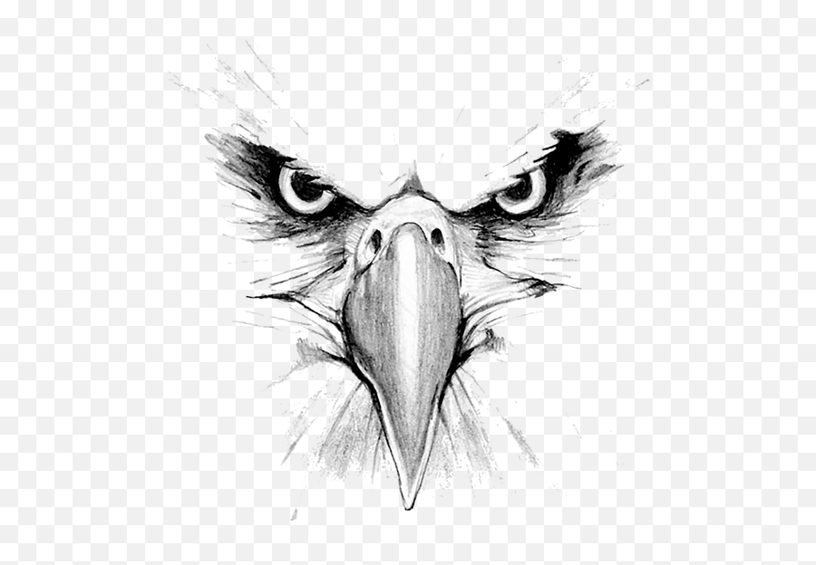Hiclipart - Transparent Eagle Head Png Emoji,Hi Clipart