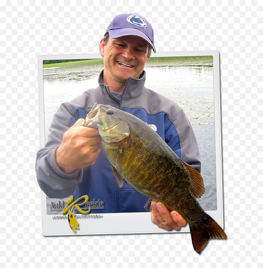 Ontario Smallmouth Bass Fishing - Pull Fish Out Of Water Emoji,Bass Fish Png