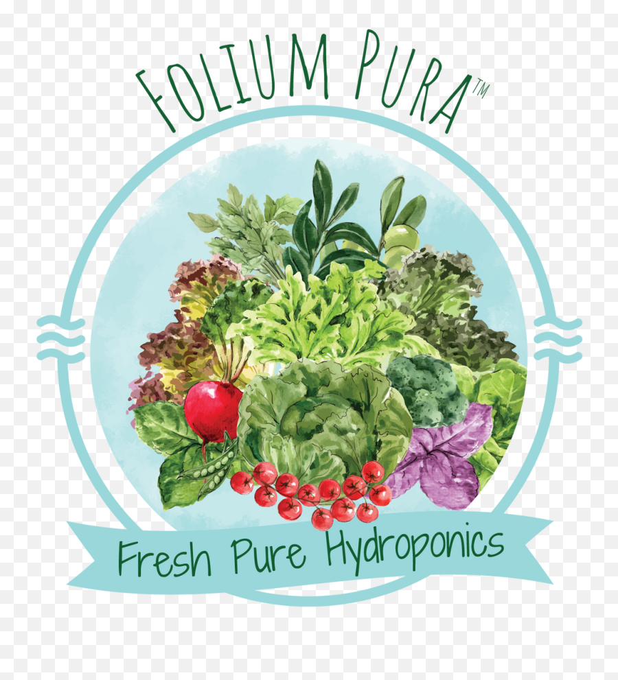 Faq U2013 Folium Pura Emoji,Lettuce Leaf Clipart