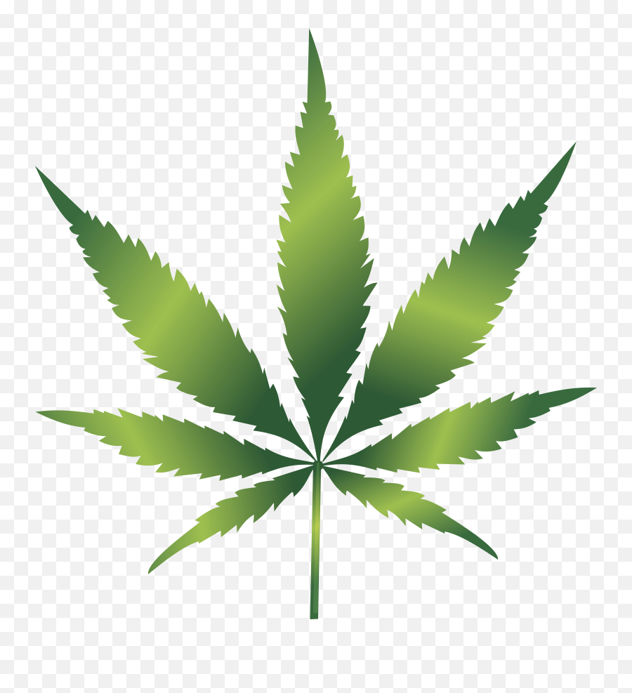 Medical Marijuana Information - Cannabis Leaf Clipart Emoji,Weed Png