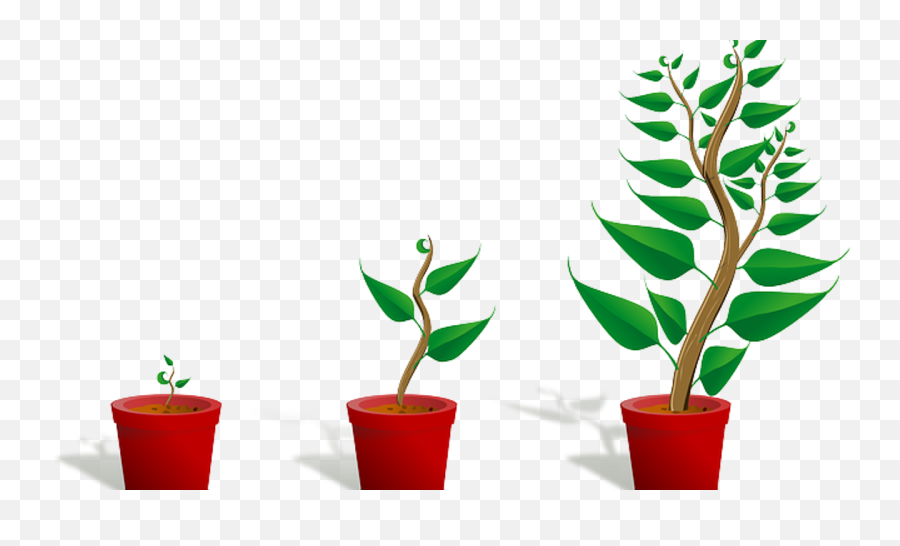 Marketing And Advertising Ideas For Tree Service Businesses - Flower Growing Clipart Emoji,Tree Services Logos