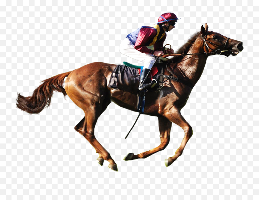 Horse Race Png U0026 Free Horse Racepng Transparent Images - Race Horse No Background Emoji,Horse Racing Logo