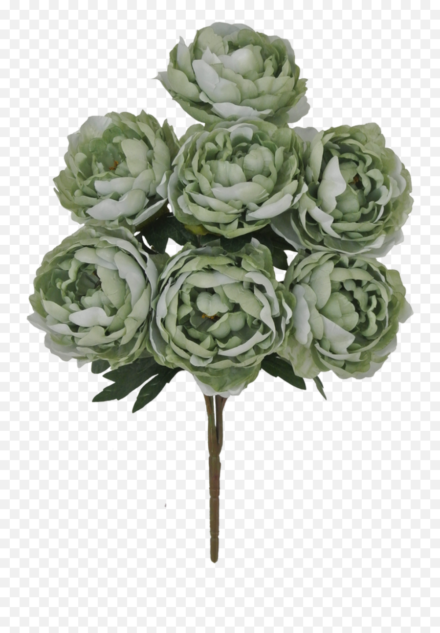 22 Peony Bush Sage Green 7 Emoji,Flower Bush Png
