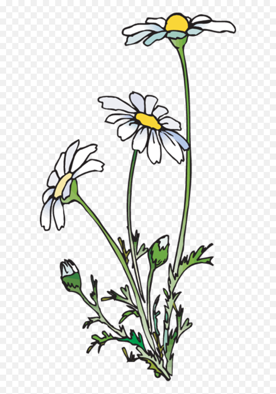 Clip Art Poetry Clipart - Daisies Doodle Clipart Emoji,Poetry Clipart