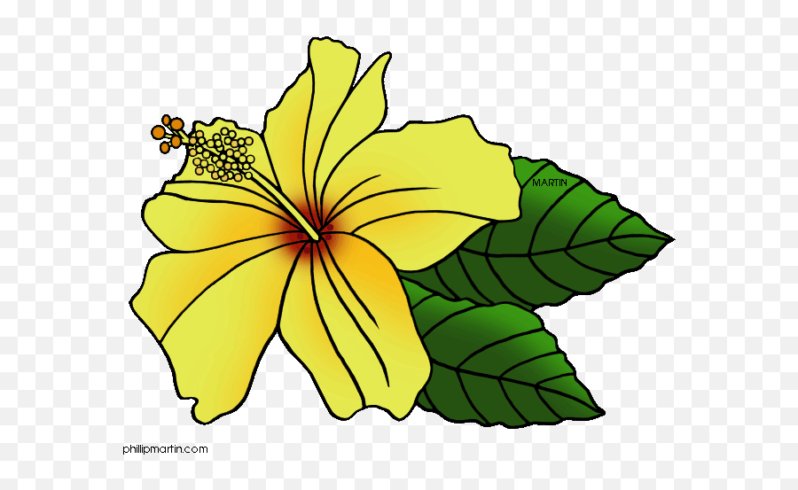 Free Hawaiian Flower Clipart Download - Hawaiin Flowers Clipart Emoji,Hawaiian Flower Clipart