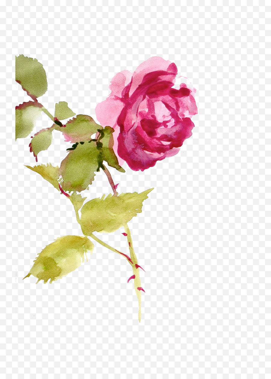 Rose Watercolor Texture Transparent Emoji,Watercolor Texture Png
