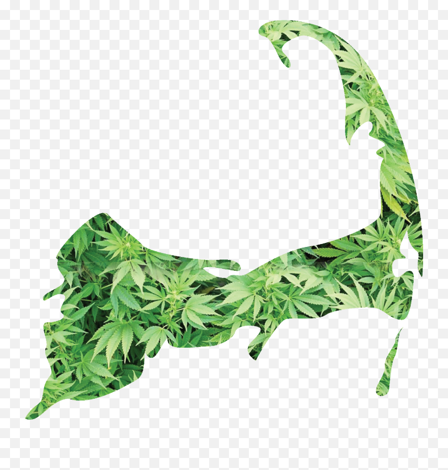 Mlg Joint Png - Del Chanito De Culiacan Emoji,Weed Joint Png