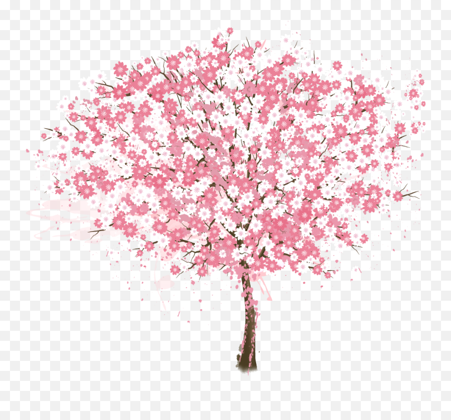 Download Cherry Blossom Tree Png Resume - Cherry Blossoms Tree Vector Emoji,Cherry Blossom Png