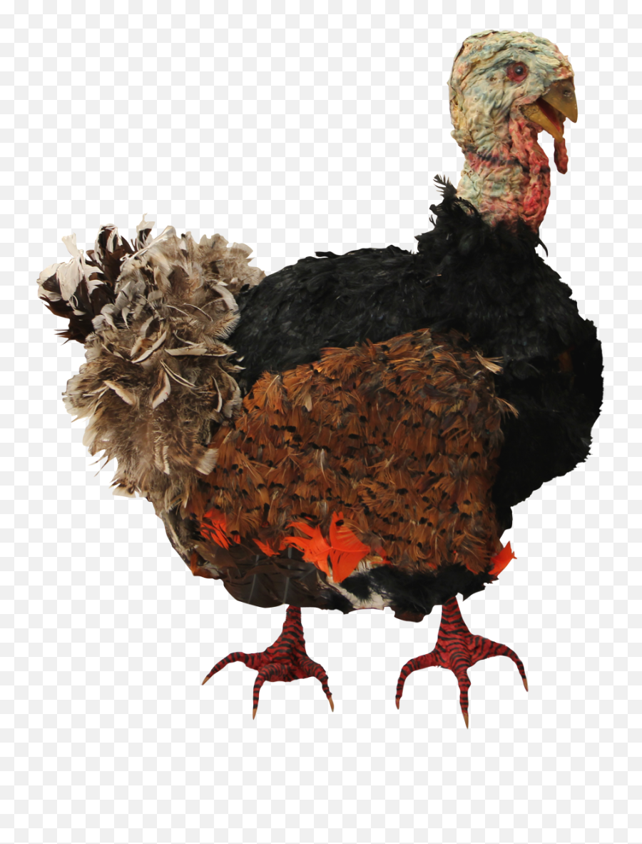 Download Cooked Turkey Png - Turkey Photoshop Full Size Bad Turkey Emoji,Turkey Png