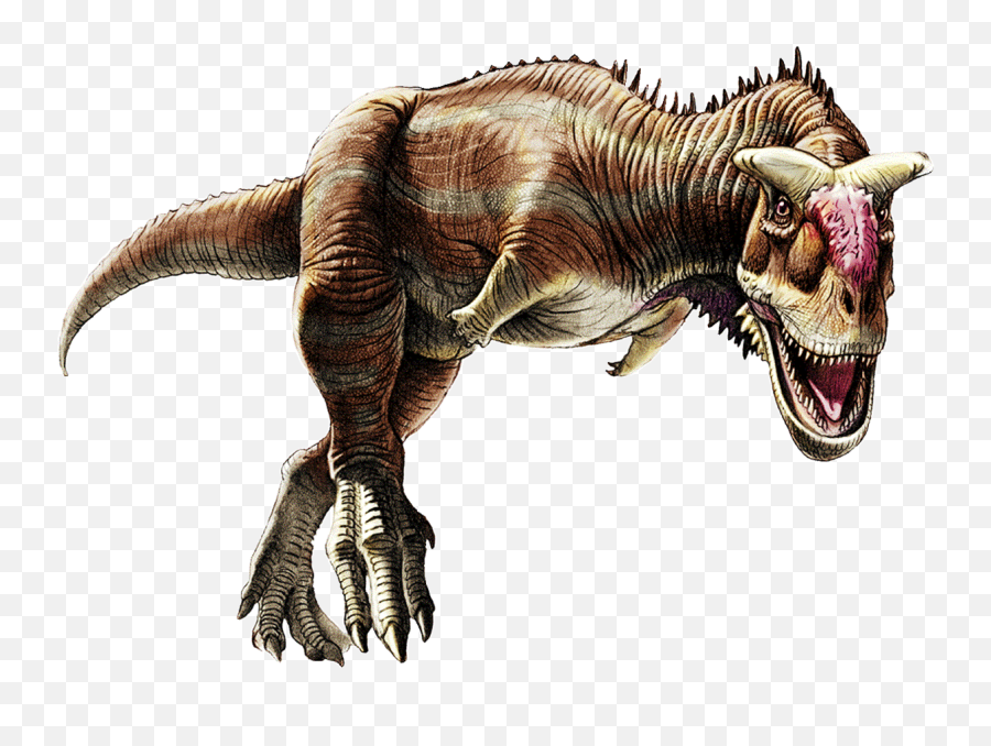 Dinosaur Facts On Twitter Carnotaurus It Means Meat - Bull Dinosaur With Horns Emoji,Bull Horns Png