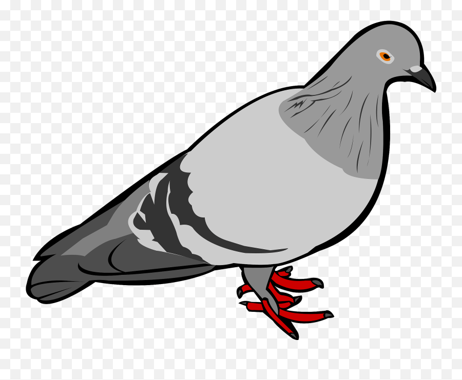 Rock Dove Clipart Free Download Transparent Png Creazilla Emoji,Free Dove Clipart