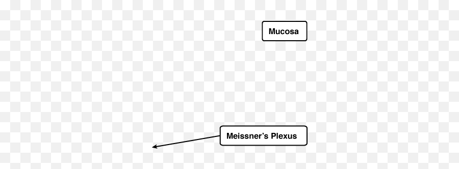 Meissneru0027s Plexus Emoji,Plexus Png