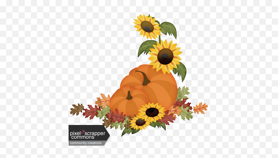 Pumpkins And Sunflowers Clipart Images G 1353959 - Png Autumn Pumpkins And Sunflowers Clipart Emoji,Sunflower Clipart