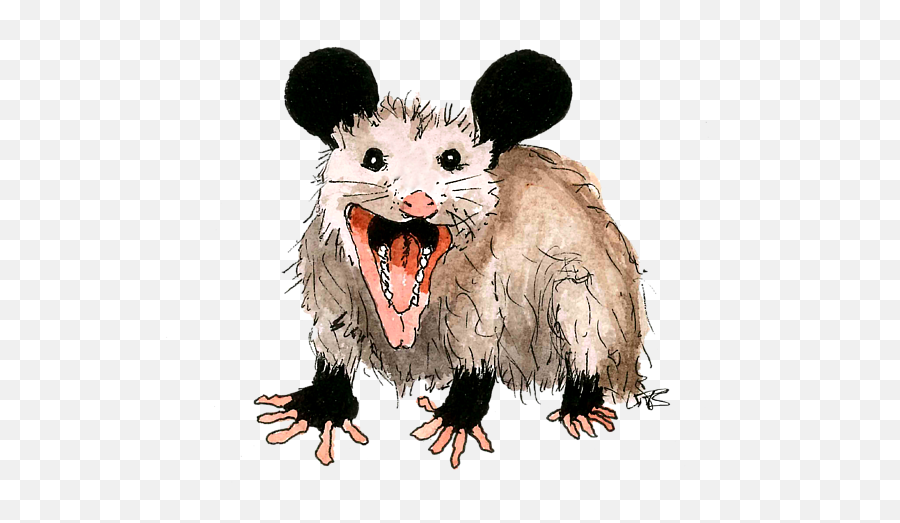 Opossum Greeting Card For Sale By Petra Stephens Emoji,Greeting Card Clipart