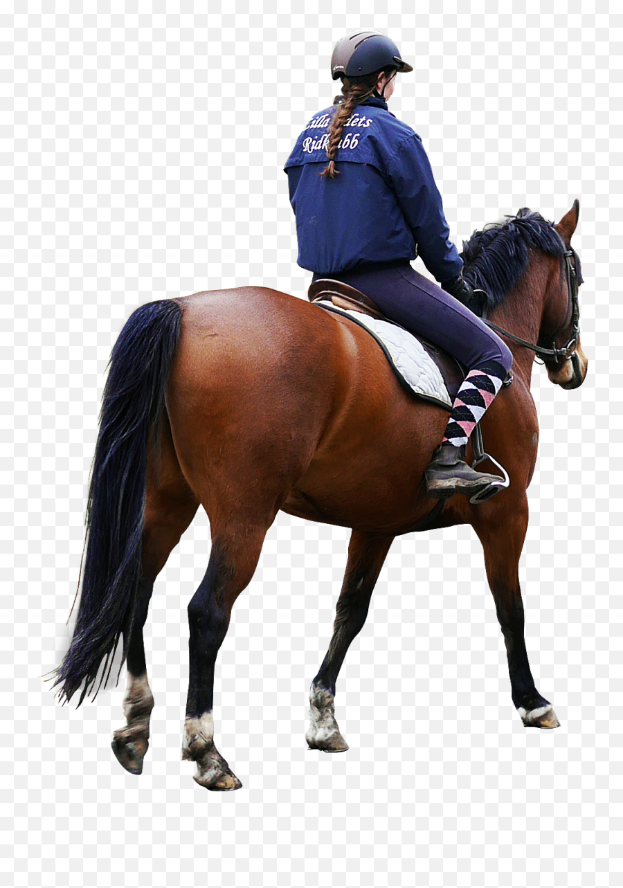 Man On A Horse Png U0026 Free Man On A Horsepng Transparent - Man Riding Horse Png Emoji,Horse Png