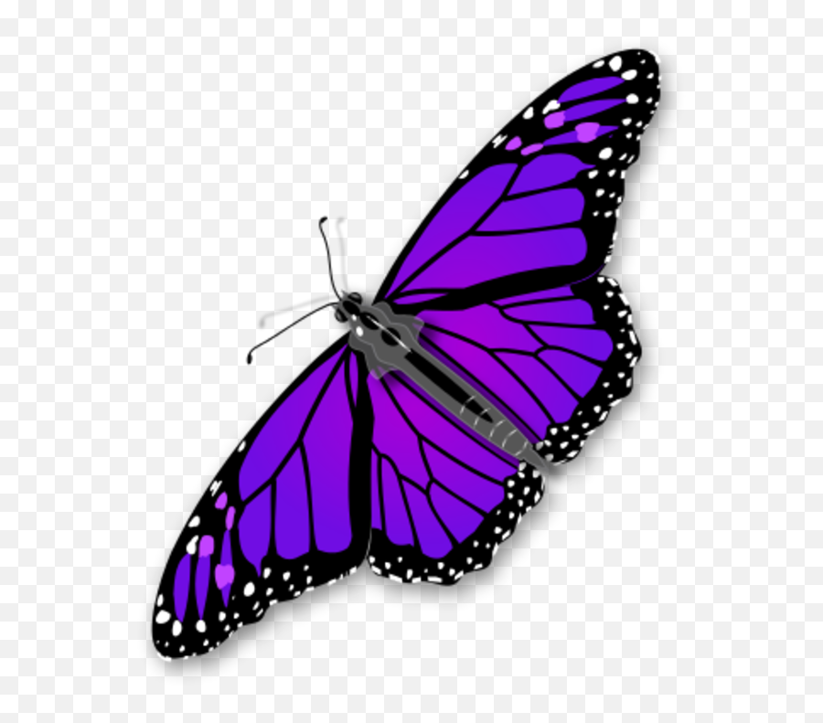 Download Purple Butterfly Transparent - Transparent Background Purple Butterfly Png Emoji,Butterfly Transparent