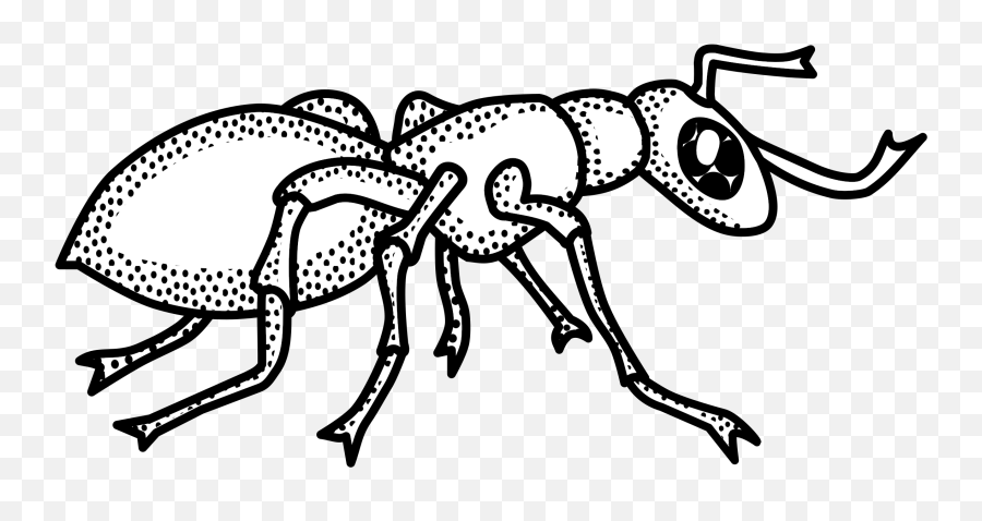 Ant Black And White Ant Clipart Outline - Hormiga Blanco Y Negro Emoji,Ant Clipart