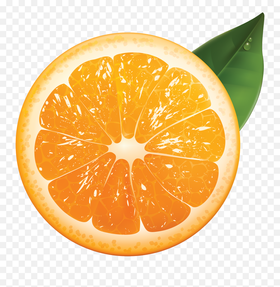 Orange Png Image Free Download - Realistic Vector Illustration Fruit Emoji,Orange Png