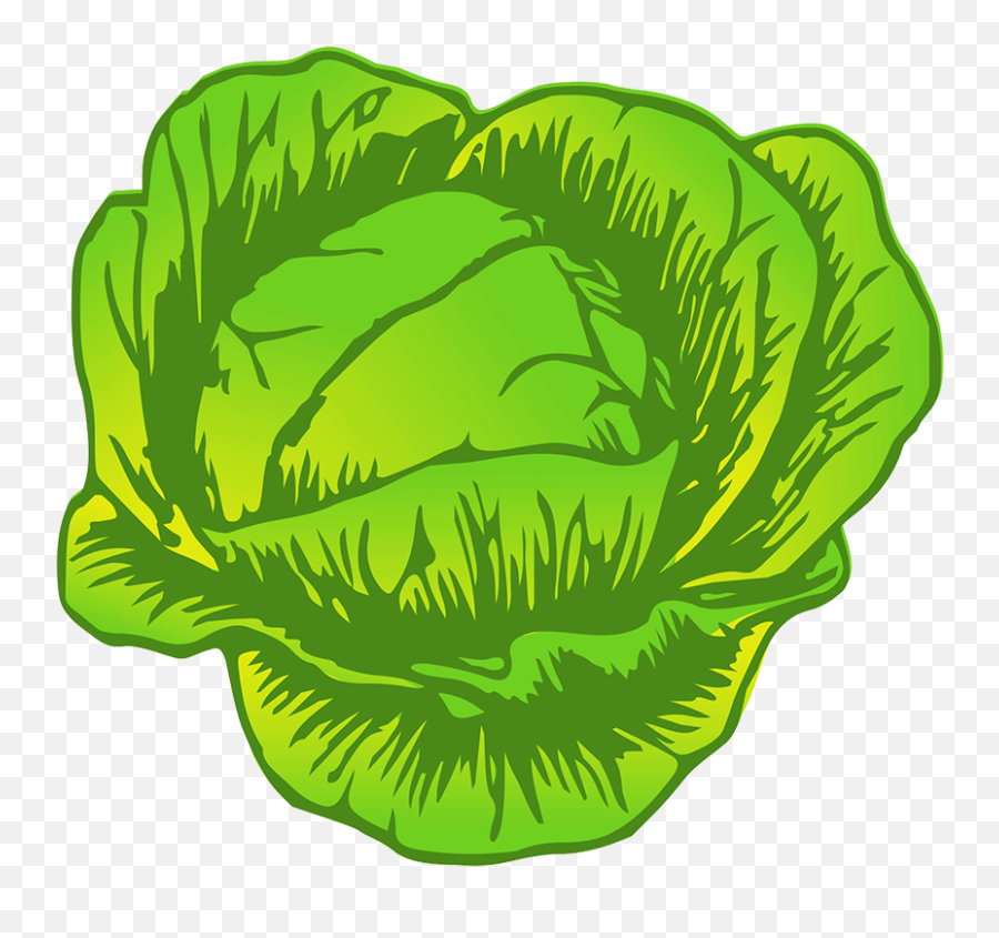 Vegetables Clipart - Fresh Emoji,Lettuce Clipart