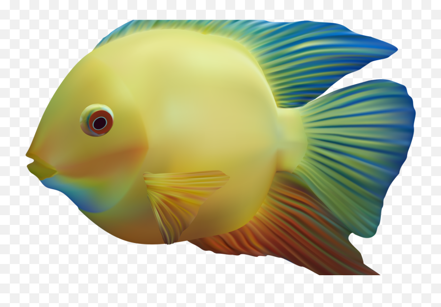 Download Exotic Fish Png Clipart Best Web Clipart - Fish Emoji,Clipart Of Fish